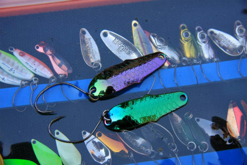 20120108_4.jpg