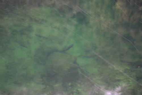 20120113_3.jpg