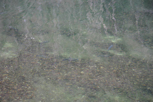 20120116_3.jpg