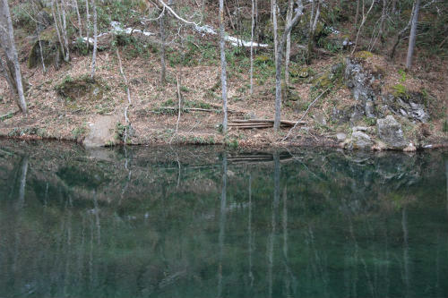 20120116_4.jpg