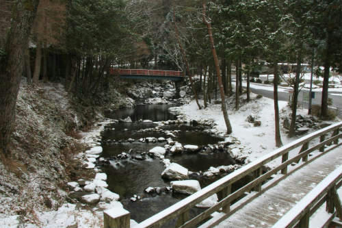 20120127_1.jpg