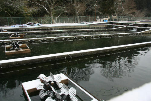 20120127_2.jpg