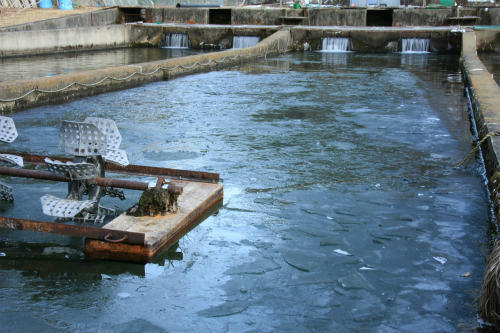 20120129.jpg