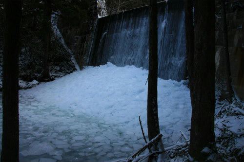 20120203_4.jpg