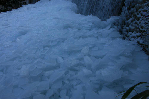 20120203_5.jpg