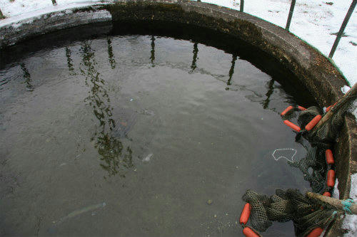 20120205_1.jpg