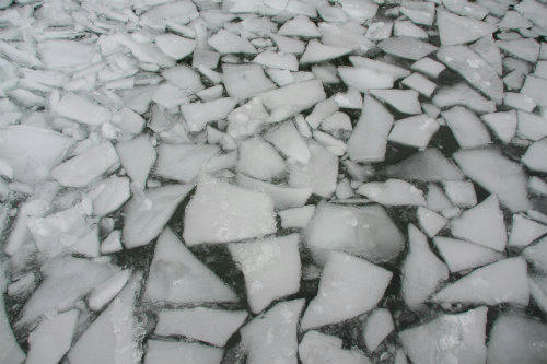 20120205_3.jpg