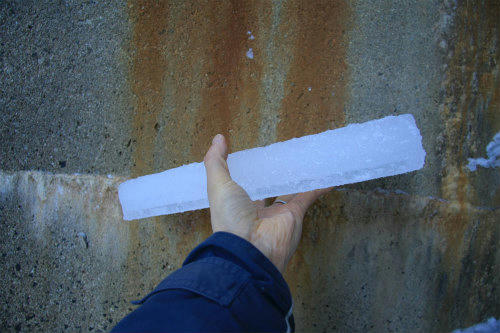 20120203_6.jpg