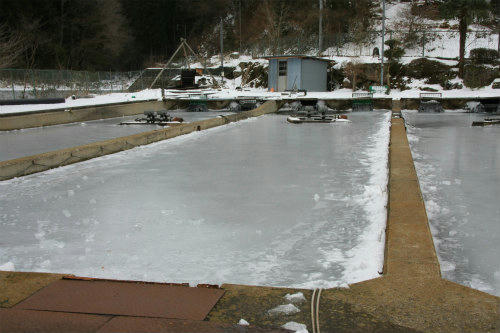20120205_2.jpg