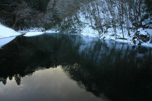 20120203_1.jpg