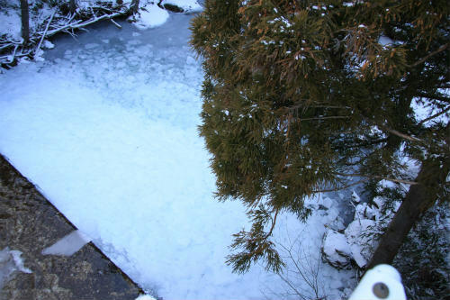 20120203_2.jpg