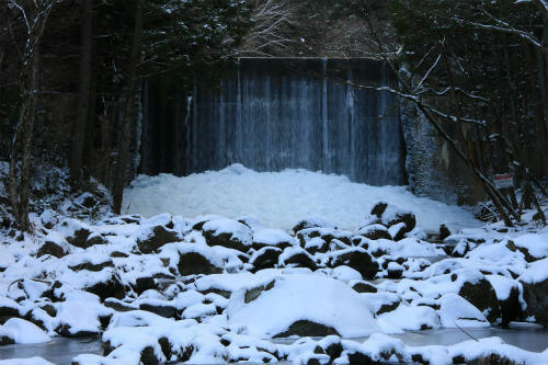20120203_3.jpg