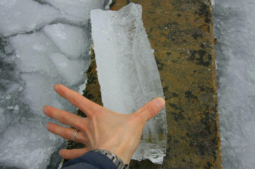 20120205_4.jpg