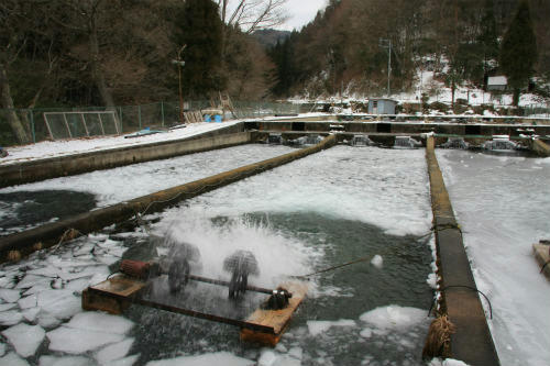 20120205_5.jpg
