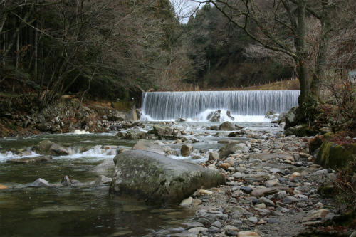 20120207_3.jpg