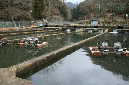 20120207_2.jpg