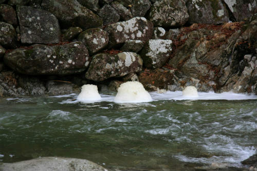 20120207_4.jpg