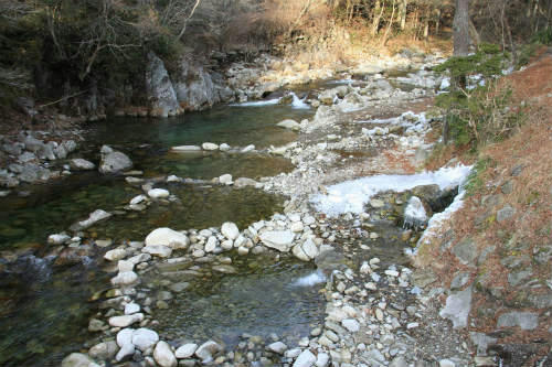 20120210_2.jpg