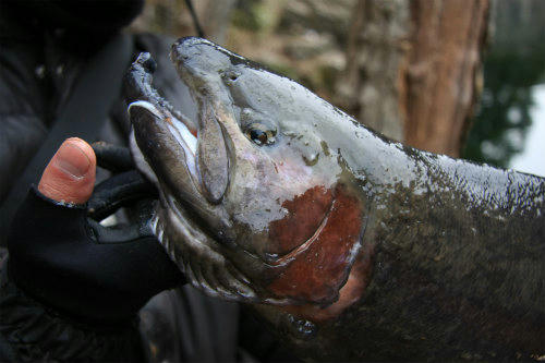 20120213_4.jpg