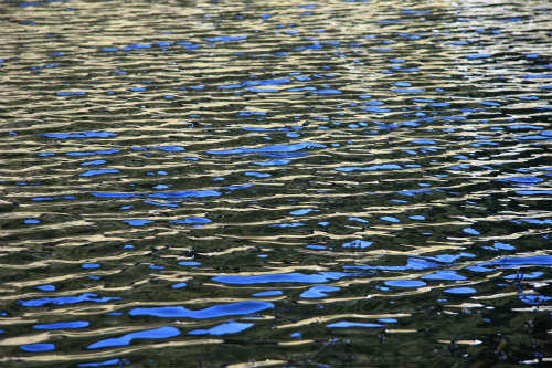 20120212_2.jpg
