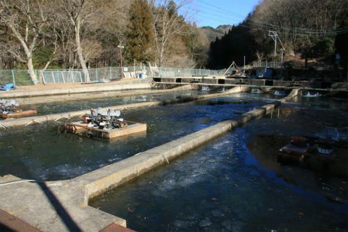 20120220_1.jpg