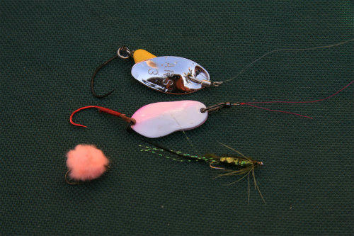 20120219_2.jpg