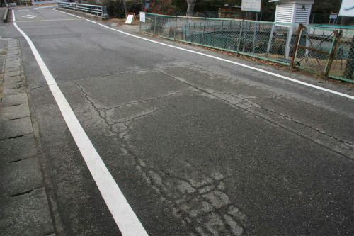 20120217_2.jpg