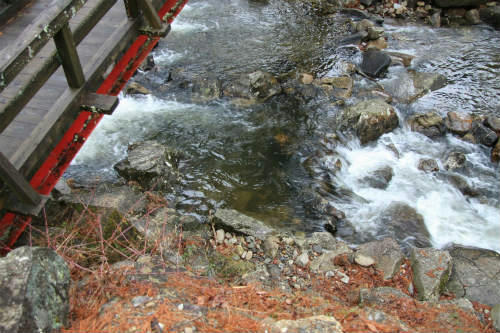 20120223_1.jpg
