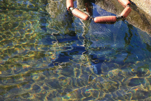 20120220_2.jpg