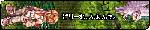 banner2.gif