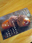 061029_21140001.jpg
