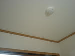 CA380584.JPG