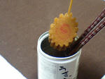 CA380599.JPG