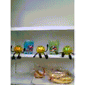 254sh0023.png