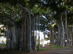 DSCN1835-2.jpg