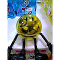 4yswimsh0057_i.png