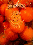 060203_12130001.jpg