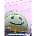 68h36csh0029_i.png
