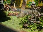 DSCN1922-2.jpg