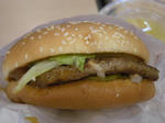 DSCN3100-2.jpg