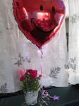 TS3U00420001.jpg