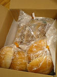 77f828d2.JPG
