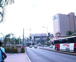 P1021556-2.jpg