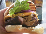 DSCN4528-2.jpg