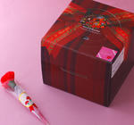 04161546_4f8bc059daaa7.jpg