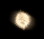 CA383606.JPG