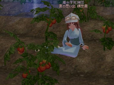 mabinogi_2009_08_01_01.jpg
