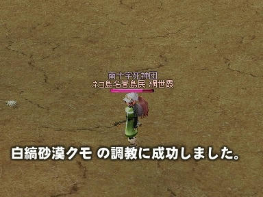 mabinogi_2009_08_06_01.jpg