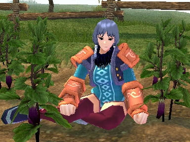 mabinogi_2009_08_07_02.jpg
