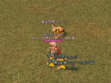 mabinogi_2009_08_08_06.jpg